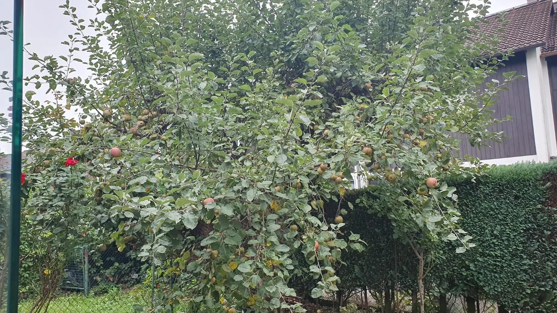 Apartmán 80M2 Garten-Duplexwohnung In Altperlach Mnichov Německo